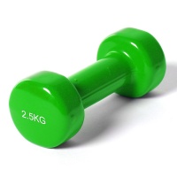 Гантель виниловая 2.5 кг (зеленая) E36747